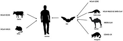 COVID-19 and beyond: leveraging artificial intelligence for enhanced outbreak control